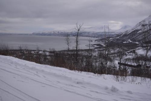 Snow and ice