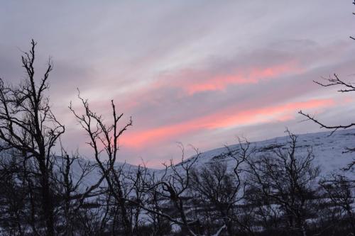 Setting sun
